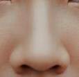 **La** nar**iz** : Le nez