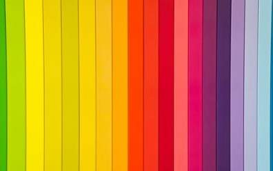 **El** col**or** : La couleur