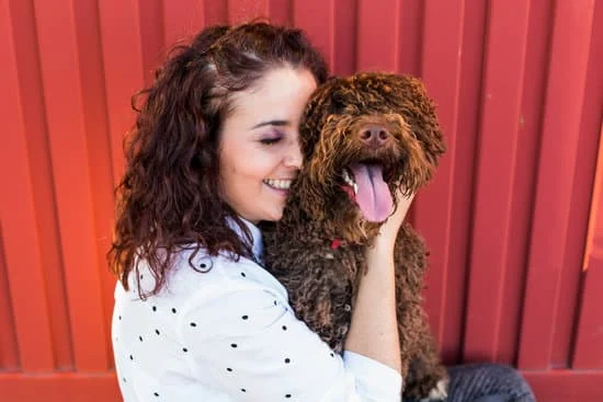 A mí me **gustan** los perros : Moi, j'aime les chiens