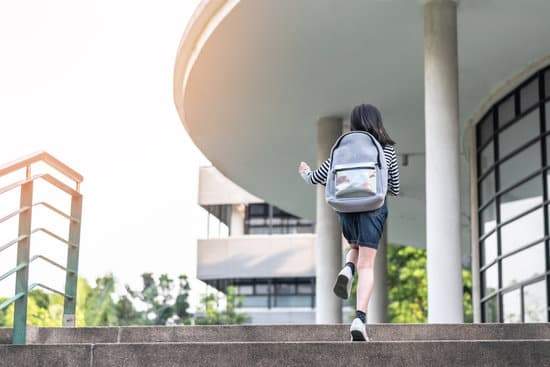 ¡Vamos a clase! : Allons en classe ! 