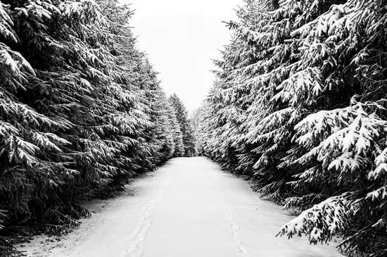 Hoy ha nevado todo el día : Aujourd'hui, il a neigé toute la journée