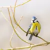 Le **ventre jaune** avec une **zone médiane blanche** contenant une **tache bleuâtre à noire**, qui peut se prolonger comme une ligne.