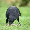 La Corneille noire est **omnivore**, elle mange de tout : insectes, vers, escargots, invertébrés, graines, fruits...