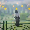 Ils sont partout là où ils peuvent récupérer de la nourriture, jusqu'à atteindre parfois des **balcons en hauteur**.