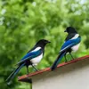 Les ailes et la queue sont **noires avec des reflets métalliques** bleu ou vert.