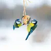 Pendant la saison froide, on peut installer des **boules de graisse** où elle aime se **suspendre**.