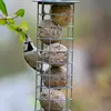 Au **jardin**,  elle sera attirée par les **boules de graisse**.