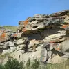 L'**habitat naturel** de l'Hirondelle de fenêtre est constitué de **falaises**. 