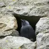 dans les **églises et ruines**...