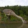 Dès qu'il repère une proie, il **détend violemment le cou**, et la **capture ou la harponne** si elle est assez volumineuse, avec son bec en poignard. (poissons, campagnols)
