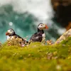 Il niche sur les **pentes de falaises abruptes et herbeuses**.