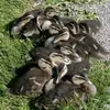 Elle y déposera **un œuf par jour** et commencera l'**incubation quand la ponte sera complète** (une dizaine d'œufs).