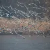 En hiver, la mouette rieuse vit dans des **habitats côtiers variés**.