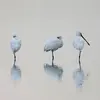 De loin, on peut la confondre avec la **Grande Aigrette** à cause de son **plumage blanc** et ses **longues pattes noires**.