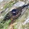 Le Cincle plongeur installe son **nid à l'abri, très près de l'eau**, dans les **parois rocheuses, les murs** ou sous une **chute ou un pont**.