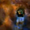 Celui face à l'entrée du couloir sera servi en premier puis **l'étoile tourne** pour nourrir le jeune suivant.