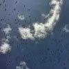 Ainsi, le **passage migratoire** par le **Bosphore** et le **Gibraltar** peut être impressionnant fin août.