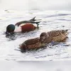En **promenant son bec dans l'eau de droite à gauche**, il tamise les particules et rejette l'eau sur les côtés.