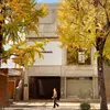 L'arbre est connu sous le nom d'**arbre aux quarante écus** en France, en référence au prix élevé des premiers spécimens importés.