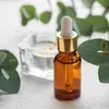 Les feuilles contiennent une **huile essentielle riche en eucalyptol**, utilisée en **phytothérapie** pour traiter les affections respiratoires comme les bronchites, rhumes, et sinusites.