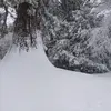 La neige en hiver joue un rôle crucial en fournissant une réserve d'eau au printemps.