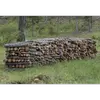 Le bois du **pin noir** est utilisé pour divers usages tels que la **charpente**, la **pâte à papier** et le **bois de chauffage**.