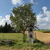 Cet arbre est très adaptable, poussant sur des **sols légers** et **peu nutritifs**.