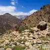 **Cedrus atlantica** est originaire des **montagnes de l'Atlas** en Afrique du Nord, principalement au **Maroc** et en **Algérie**.