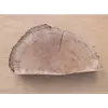 Le bois du chêne vert est **très dur et compact**, pouvant prendre un **poli comparable à celui du marbre**, ce qui le rend prisé en **ébénisterie et marqueterie**.