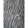 Ces crevasses sont **un peu liégeuses**, contribuant à l'identification visuelle de l'arbre et protégeant le tronc des agressions extérieures.