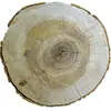 Cet arbre est reconnu pour son **bois dur et élastique**, utilisé en **ébénisterie**, pour fabriquer des **manches d'outils**, et dans la **construction navale** pour sa résistance à la flexion et aux chocs.