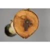 Le frêne commun fait face à plusieurs **menaces biologiques**, notamment le **chancre bactérien** et la **chalarose** (causée par le champignon *Chalara fraxinea*), ainsi que l'invasion de l'**agrile du frêne**, un coléoptère destructeur originaire d'Asie.