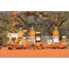 Utilisé depuis l'Antiquité pour ses propriétés médicinales, l'argousier est réputé pour ses fruits exceptionnellement riches en **vitamines C, A, E, et en antioxydants**.