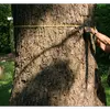 Elle est **lisse** chez les jeunes arbres, puis devient **écailleuse** et **se détache par plaques** avec l'âge.