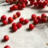 Les **baies** peuvent être toxiques crues à cause de l'acide parasorbique, mais elles sont comestibles après cuisson et utilisées pour diverses préparations culinaires.