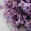 Cependant, il contient de la **syringine**, un glycoside toxique à haute dose, limitant son usage médical direct.