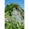 Le buis s'adapte bien aux **milieux arides et rocheux**, prospérant dans les **étages méditerranéen et subalpin** des Alpes et des Apennins.