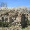 Le prunellier est largement répandu de l'**Europe de l'Ouest à l'Asie Mineure**, incluant la région du **Caucase** et l'**Afrique du Nord**.