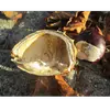 Les **marrons, bourgeons et feuilles** du marronnier sont **toxiques** pour les humains et certains animaux en raison de la présence de composés tels que l'esculine.