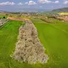 On le trouve dans des **habitats variés**, y compris les **haies, les lisières de forêt**, et les forêts traitées en taillis sous futaie.