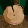 Son **bois dur et homogène**, d'un blanc ivoire, est recherché pour la **fabrication d'objets** nécessitant une grande résistance mécanique, comme les **manches d'outils**, les **navettes de tissage** et les **étals de boucher**.