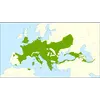En France, il est largement répandu, sauf en région méditerranéenne où il est plus rare en raison de la sécheresse.