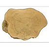 Le bois de **Celtis australis** est **léger, dur, flexible**, et **quasiment imputrescible**, ce qui en fait un matériau idéal pour diverses applications comme la fabrication de **manches d'outils**, **instruments de musique**, **cannes à pêche**, et même des **cravaches** et **fouets** traditionnels.