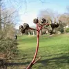 La **fructification** a lieu de **septembre à octobre**, et les fruits restent sur l'arbre jusqu'en décembre, servant de nourriture hivernale pour la faune. Leur consommation par l'homme peut causer des gastro-entérites en raison de la présence d'aucubine et de tanins.
