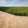 Il peut pousser sur les **sols pauvres** mais a besoin de **soleil, de chaleur et d'un air humide**.