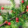 Son nom scientifique est **'Taxus baccata'**. 'Taxus' vient de 'Taxos' en grec, qui signifie **'toxique'** (car la sève est toxique) et 'baccata' pour le **fruit** (la baie qui n'est pas toxique).