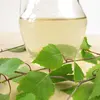 On peut **récolter la sève au printemps** et la boire fraîche.