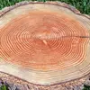 Son **bois**, issu d'une croissance lente, est **le plus durable et le plus solide des bois de conifères**.