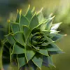 Les feuilles sont de **couleur vert foncé, pointues, aplaties et luisantes**.