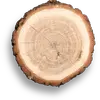 Le bois est l'un des matériaux naturels les plus utilisés dans le monde.